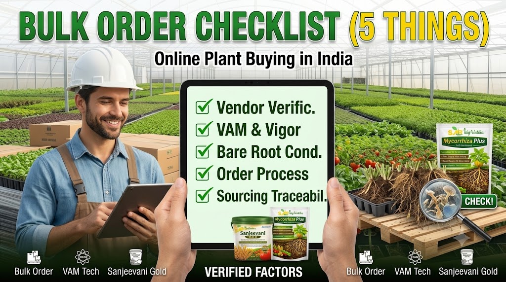 5 Things to Check Before Placing a Bulk Plant Order Online in India