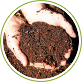 Compost