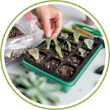 Potting Mix