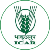 ICAR