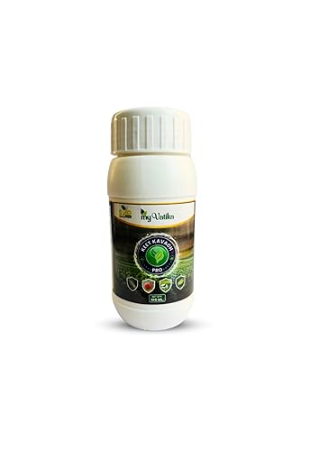 Keet Kavach Pro – 100% Organic Contact Pesticide | Thyme & Rosemary Oil Based | Controls Thrips, Mites, Aphids, Whiteflies & Soft-Bodied Insects | My Vatika (500 ml)