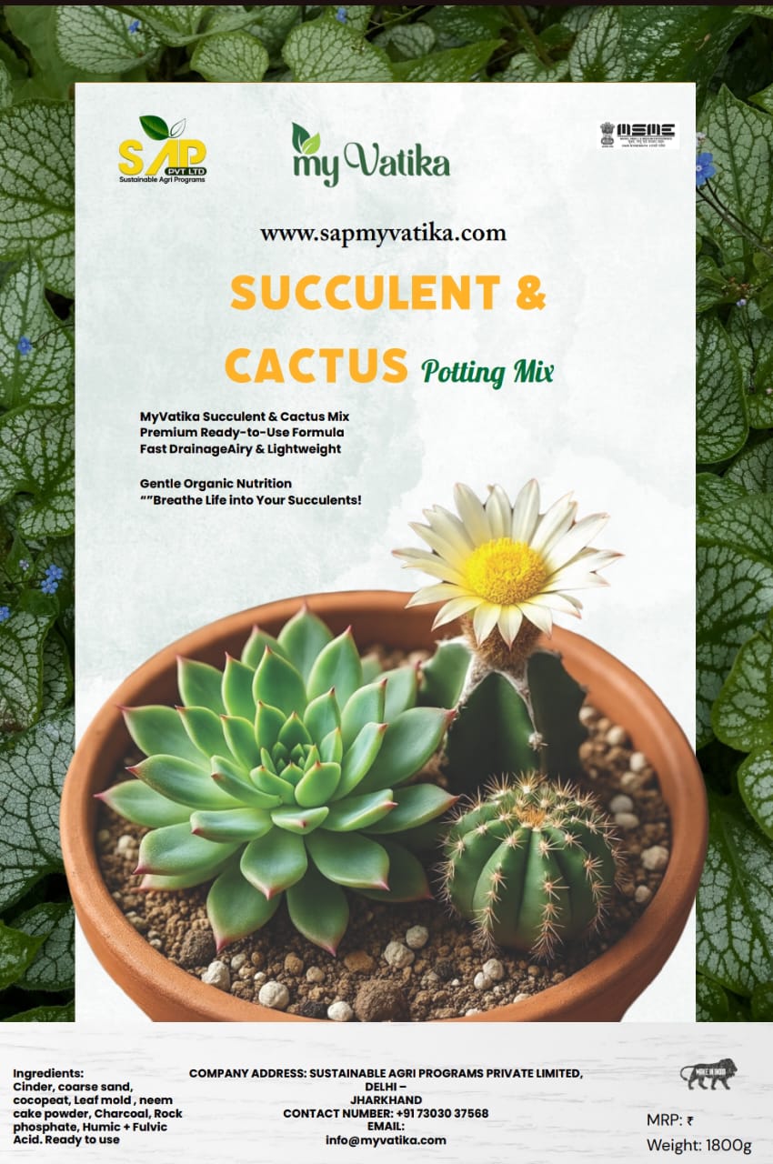 Succulent & Cactus Potting Mix | Fast-Draining Soil | Ideal for All Succulents & Cacti